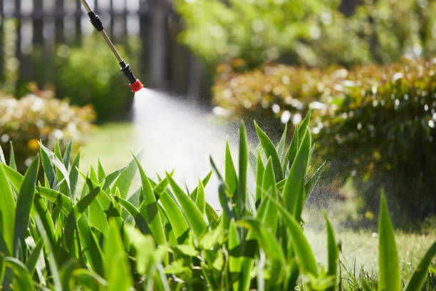 24/7 Emergency Cockroach Control experts in St. Simons, GA