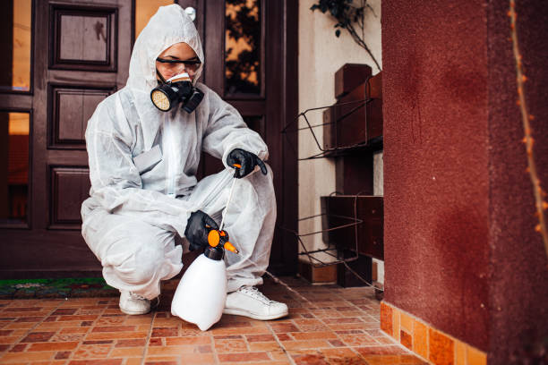 Reliable Cockroach Control contractor in St. Simons, GA by Nex Pest Control