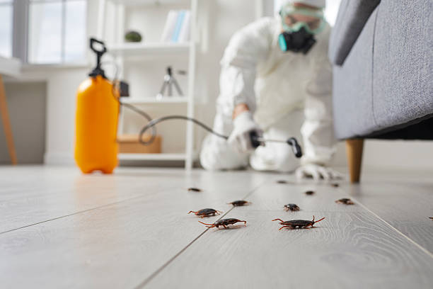 Affordable Cockroach Control solutions in St. Simons, GA